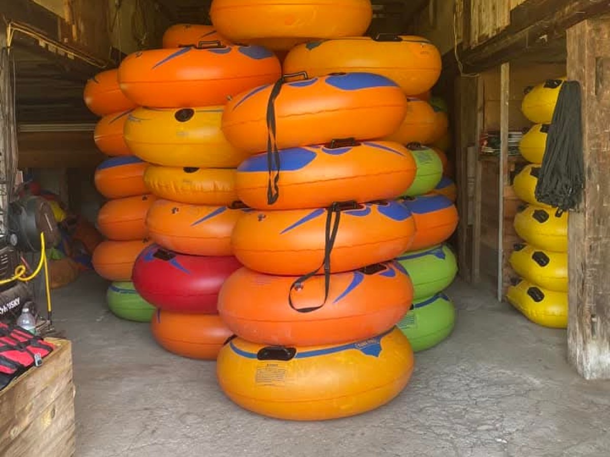a bunch of oranges sitting on top of a table